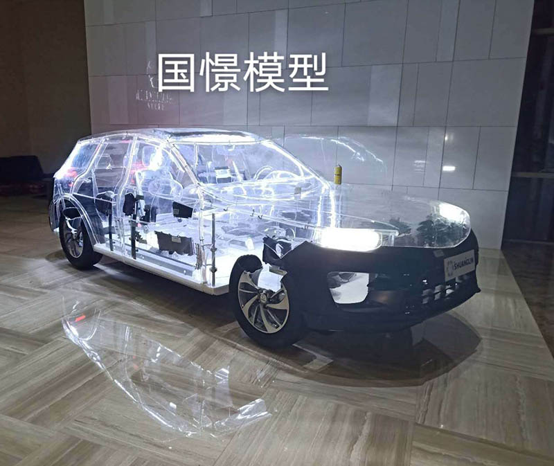 进贤县透明车模型